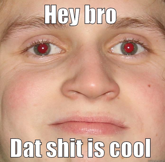 HEY BRO DAT SHIT IS COOL Misc