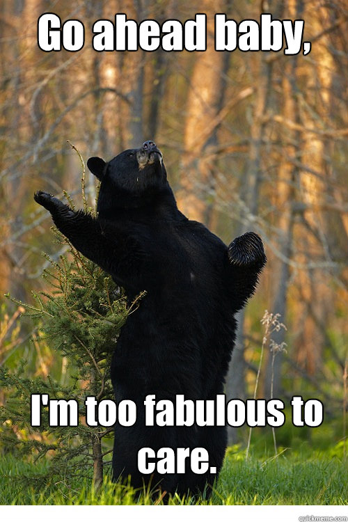 Go ahead baby,
 I'm too fabulous to care. - Go ahead baby,
 I'm too fabulous to care.  Fabulous Bear