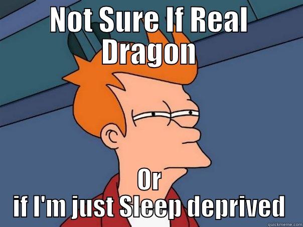 NOT SURE IF REAL DRAGON OR IF I'M JUST SLEEP DEPRIVED Futurama Fry