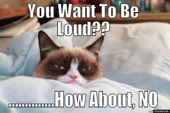 YOU WANT TO BE LOUD?? ..............HOW ABOUT, NO Misc