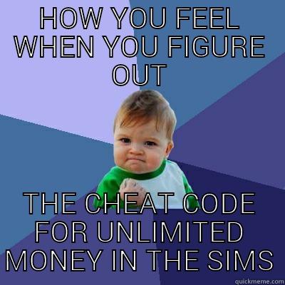 HOW YOU FEEL WHEN YOU FIGURE OUT THE CHEAT CODE FOR UNLIMITED MONEY IN THE SIMS Success Kid