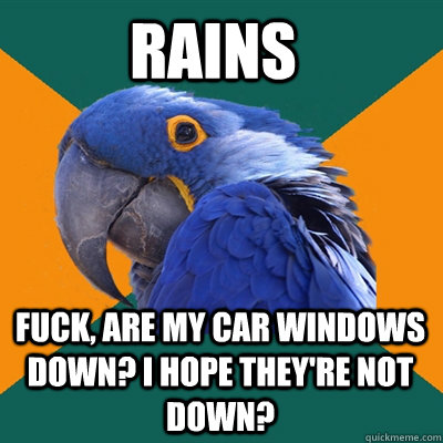 rains fuck, are my car windows down? I hope they're not down?  Paranoid Parrot