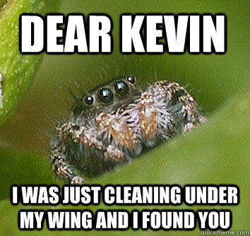 Dear Kevin I was just cleaning under my wing and I found you  Misunderstood Spider