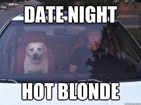 Date Night Hot blonde - Date Night Hot blonde  Dog Date