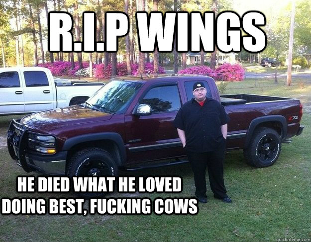 R.I.P Wings He died what he loved doing best, fucking cows - R.I.P Wings He died what he loved doing best, fucking cows  R.I.P Wings