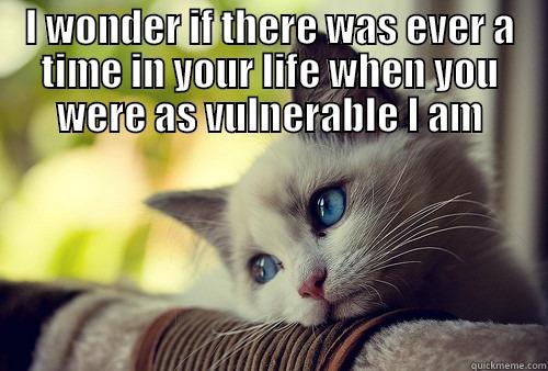I WONDER IF THERE WAS EVER A TIME IN YOUR LIFE WHEN YOU WERE AS VULNERABLE I AM  First World Problems Cat