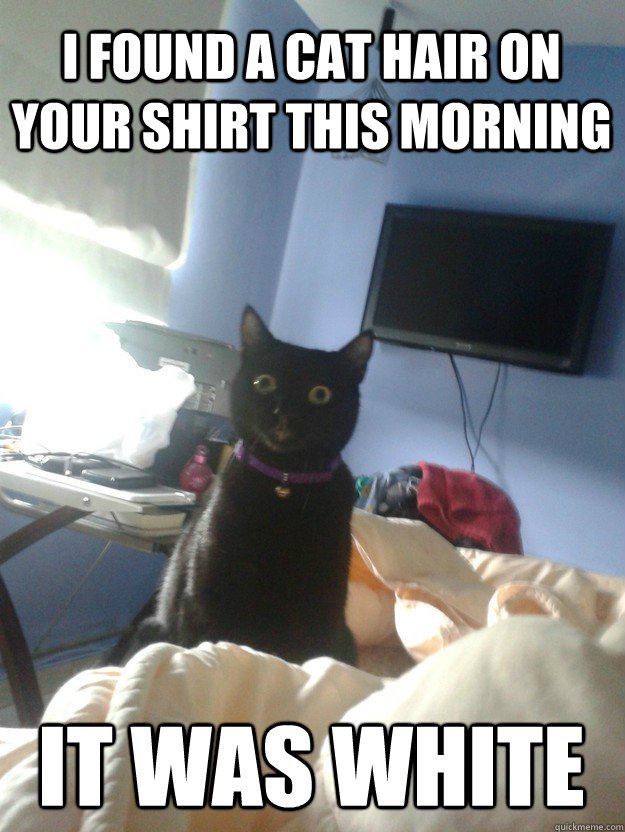 i found a cat hair on your shirt this morning it was white  