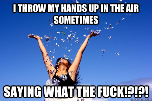 I throw my hands up in the air sometimes saying what the fuck!?!?! - I throw my hands up in the air sometimes saying what the fuck!?!?!  Misc