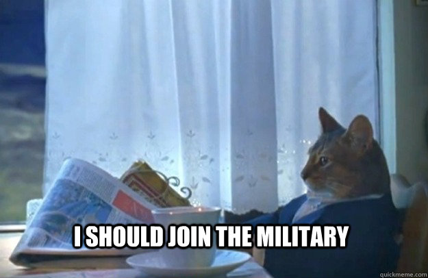 I should join the military  Sophisticated Cat