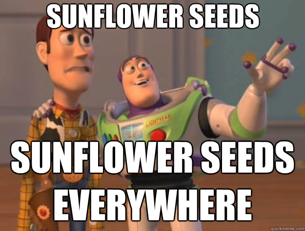 Sunflower seeds Sunflower seeds everywhere - Sunflower seeds Sunflower seeds everywhere  Toy Story