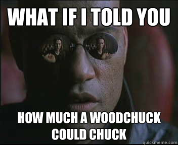 What if I told you How much a woodchuck could chuck  Morpheus SC