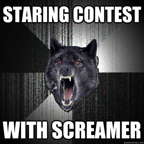 Staring contest with screamer  Insanity Wolf