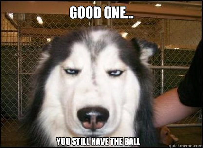 good one... you still have the ball  Skeptical Dog