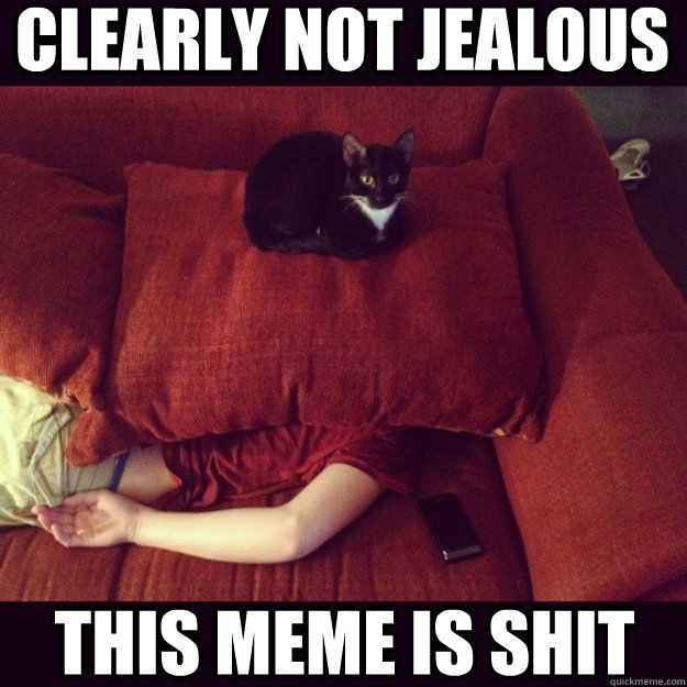 Clearly not jealous This meme is shit  jealous cat
