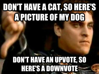 don't have a cat, so here's a picture of my dog don't have an upvote, so here's a downvote  Downvoting Roman