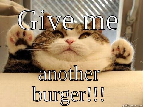 GIVE ME ANOTHER BURGER!!! Misc