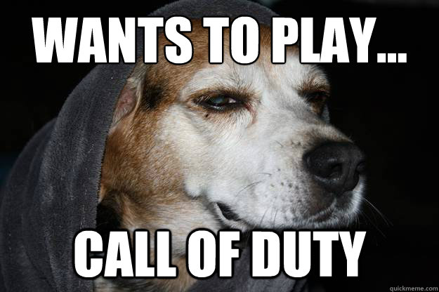 Wants to play... Call of Duty  