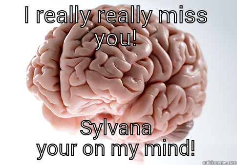 I REALLY REALLY MISS YOU! SYLVANA YOUR ON MY MIND! Scumbag Brain