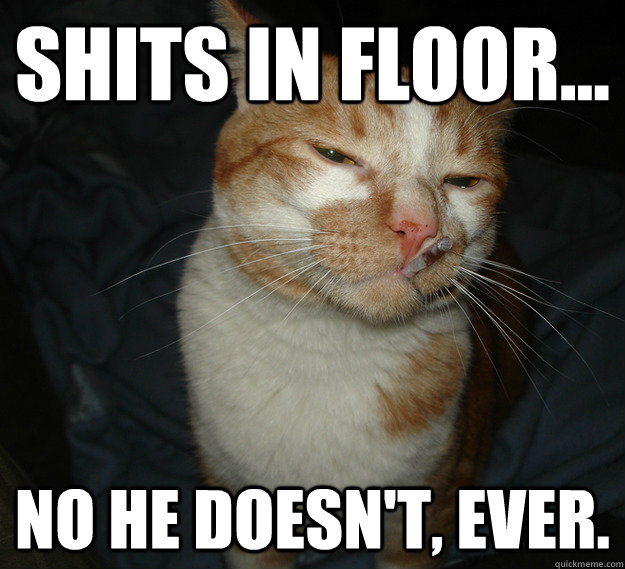 shits in floor... no he doesn't, ever.  Cool Cat Craig