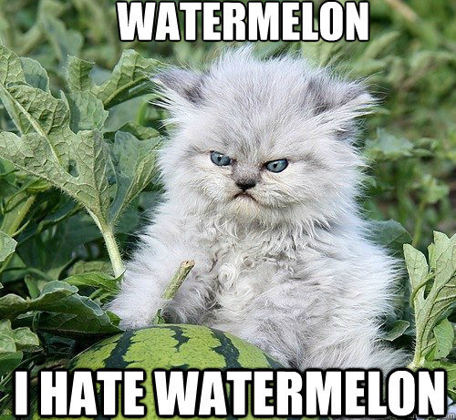 Watermelon I hate watermelon - Watermelon I hate watermelon  Watermelon Hating Cat