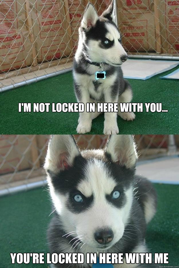 i'm not locked in here with you... you're locked in here with me  Insanity puppy