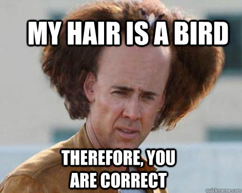 my hair is a bird Therefore, you are correct  Crazy Nicolas Cage
