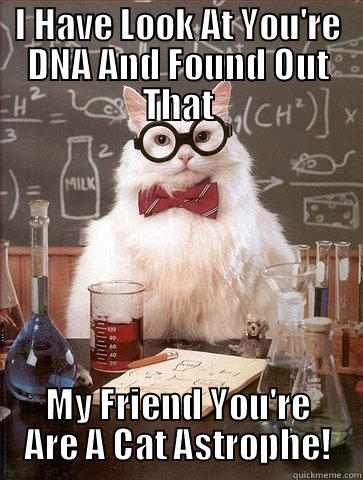 I HAVE LOOK AT YOU'RE DNA AND FOUND OUT THAT MY FRIEND YOU'RE ARE A CAT ASTROPHE! Chemistry Cat