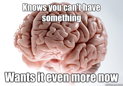 Knows you can't have something Wants it even more now  Scumbag Brain