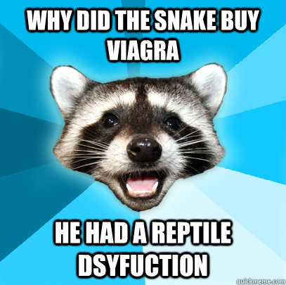 WHY DID THE SNAKE BUY VIAGRA HE HAD A REPTILE DSYFUCTION  Lame Pun Coon