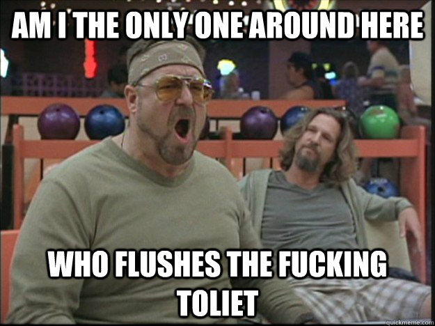 am i the only one around here who flushes the fucking toliet   