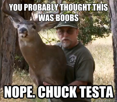 You probably thought this was boobs nope. chuck testa  Chuck Testa