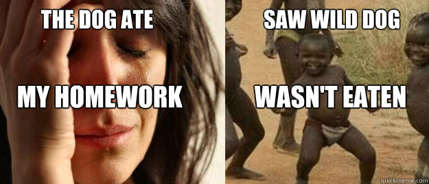         The dog ate                           Saw wild dog my homework               wasn't eaten  First World Problems  Third World Success