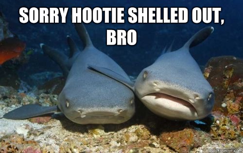 Sorry Hootie shelled out, bro   Compassionate Shark Friend