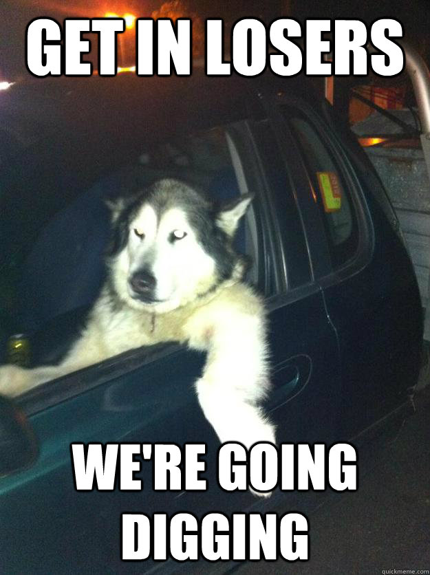 Get in losers we're going digging  Mean Dog