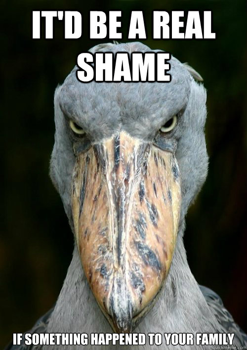 It'd be a real shame if something happened to your family  Serious Shoebill Stork