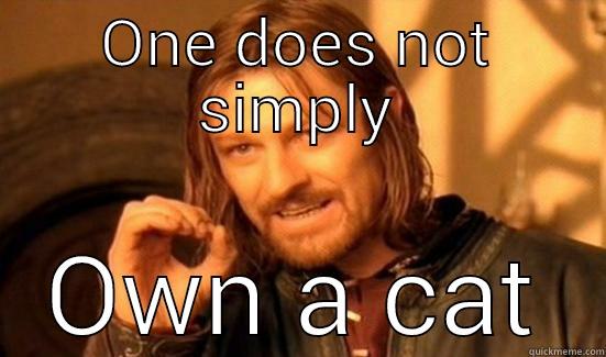 ONE DOES NOT SIMPLY OWN A CAT Boromir