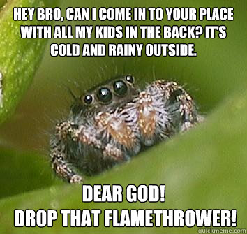 Hey Bro, Can I come in to your place with all my kids in the back? It's cold and rainy outside. Dear god!
 Drop that flamethrower!  Misunderstood Spider