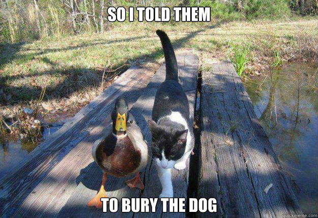 so i told them to bury the dog - so i told them to bury the dog  Boat advice