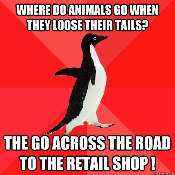 where do animals go when they loose their tails? The go across the road to the retail shop ! - where do animals go when they loose their tails? The go across the road to the retail shop !  Socially Awesome Penguin