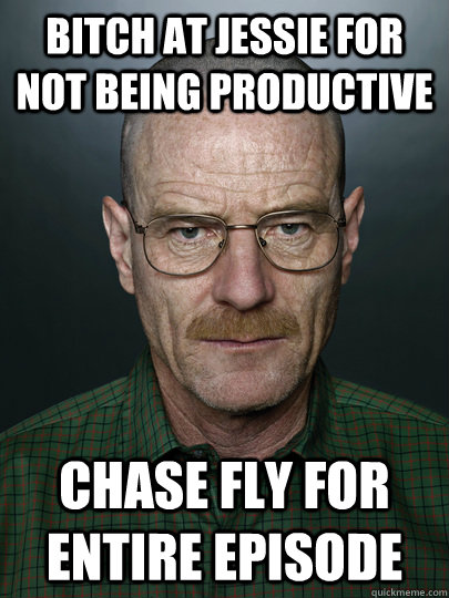 bitch at jessie for not being productive chase fly for entire episode  - bitch at jessie for not being productive chase fly for entire episode   Advice Walter White