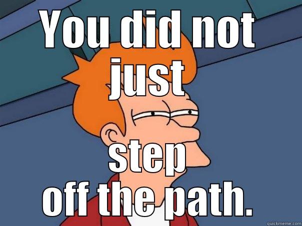 YOU DID NOT JUST STEP OFF THE PATH. Futurama Fry