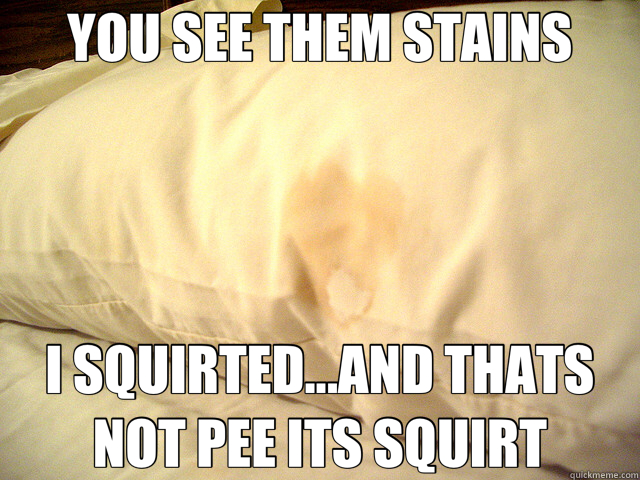 YOU SEE THEM STAINS I SQUIRTED...AND THATS NOT PEE ITS SQUIRT  pillow