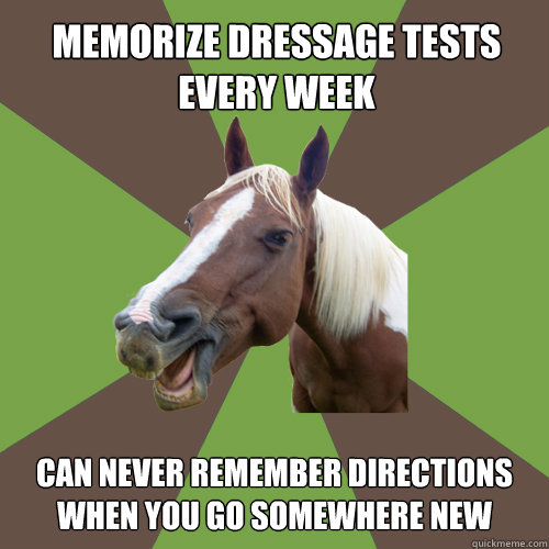 memorize dressage tests every week can never remember directions when you go somewhere new - memorize dressage tests every week can never remember directions when you go somewhere new  Fyequestrians.tumblr.com
