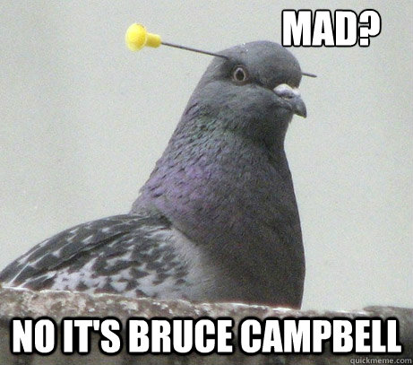 mad? no it's bruce campbell - mad? no it's bruce campbell  wut pigeon