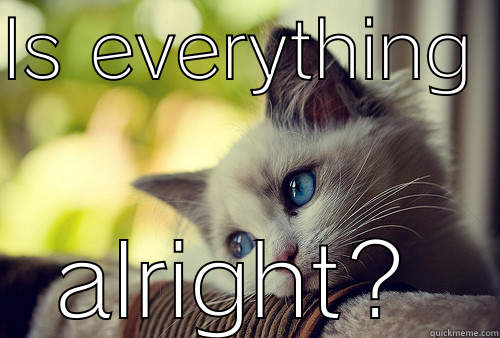 IS EVERYTHING  ALRIGHT? First World Problems Cat