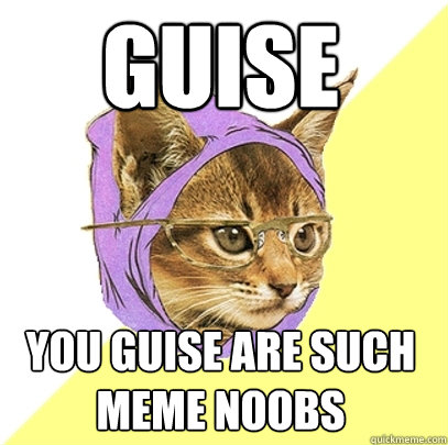 GUISE YOU GUISE ARE SUCH MEME NOOBS  Hipster Kitty