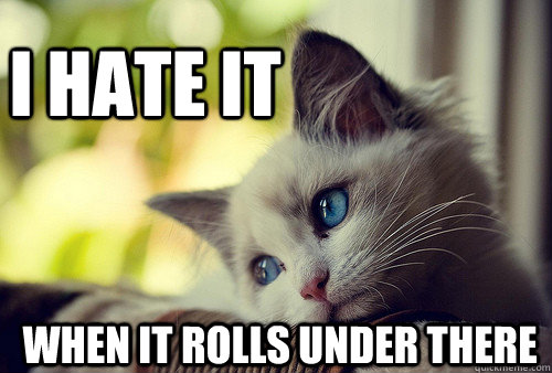 I hate it when it rolls under there  First World Problems Cat