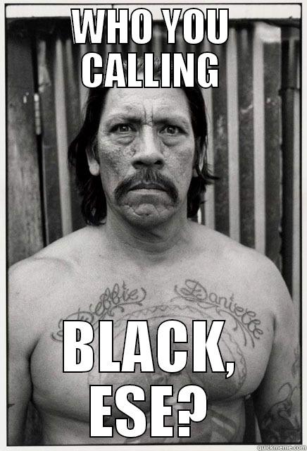 WHO YOU CALLING BLACK, ESE? Misc