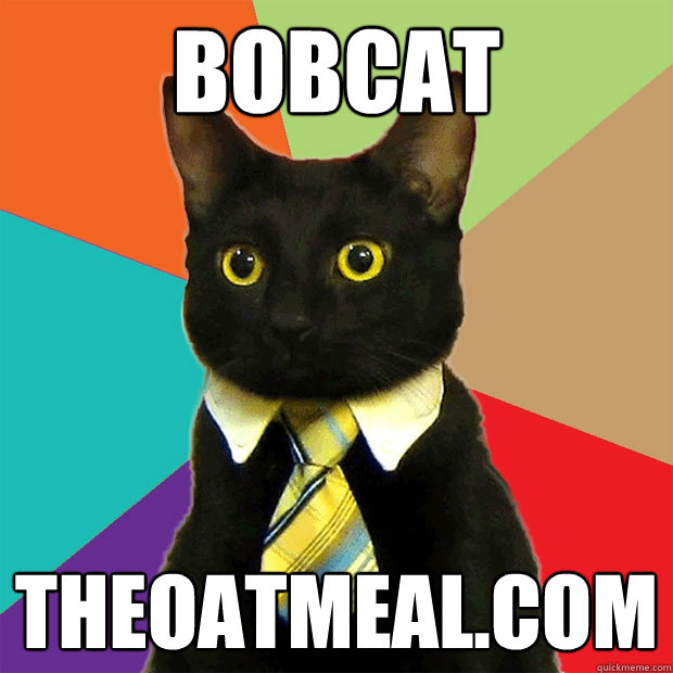 Bobcat theoatmeal.com  Business Cat