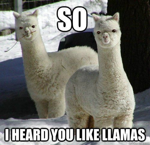so i heard you like llamas  Hells Llamas